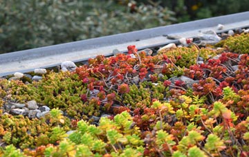the cost of Redland End green roof installation